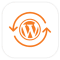 WordPress-Migration