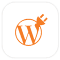 WordPress-Plugin-Development