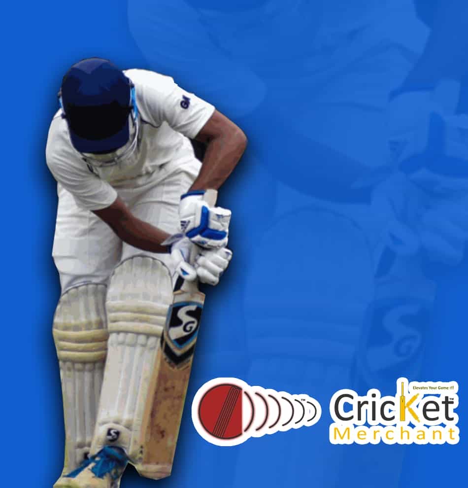 Cricket merchant portfolio
